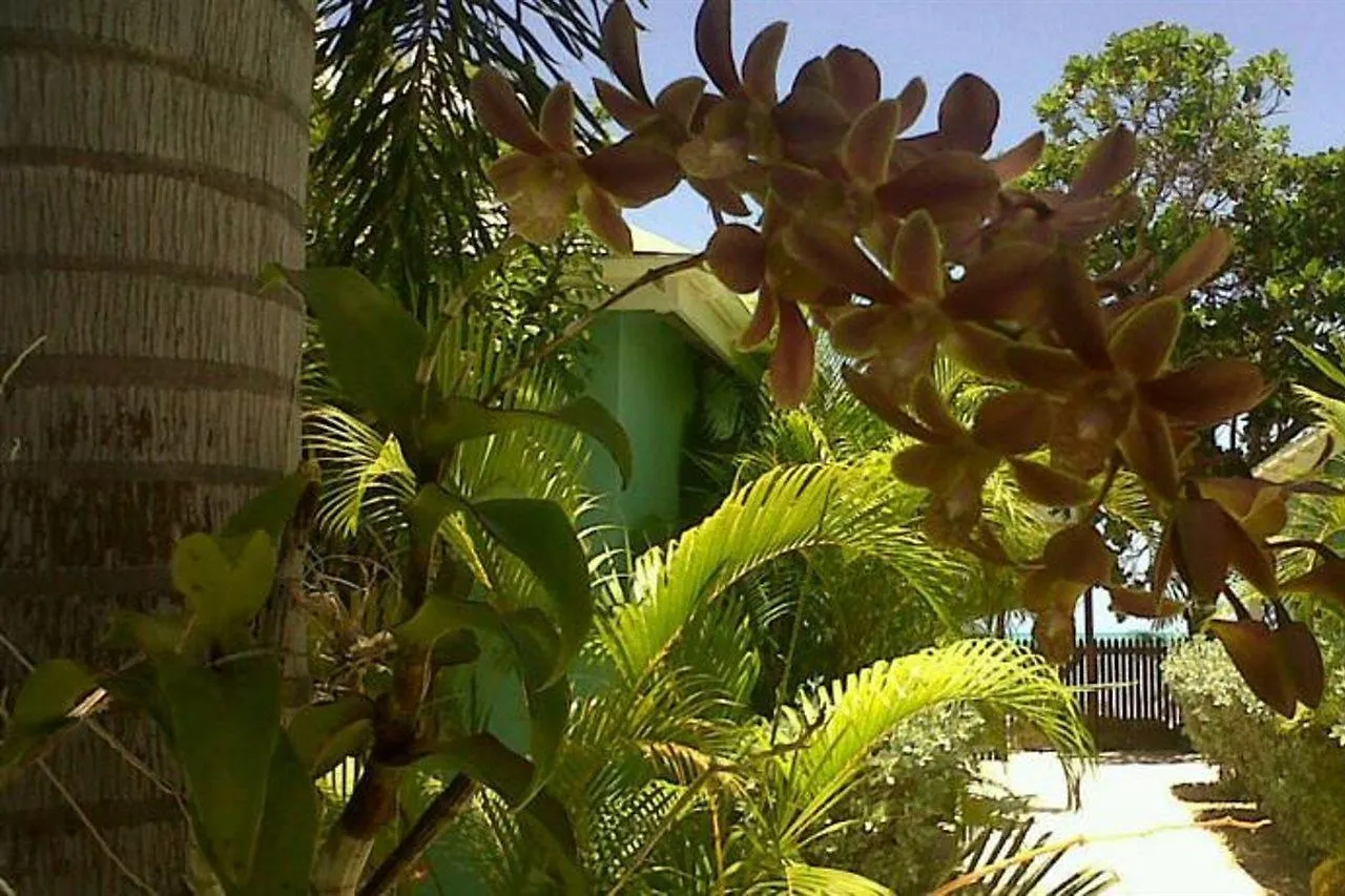 Buccaneer Beach Club Dickenson Bay Apartmanhotel