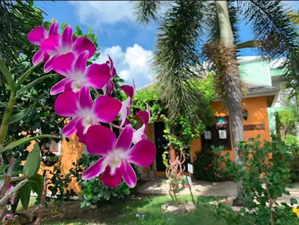Dickenson Bay Buccaneer Beach Club Dickenson Bay