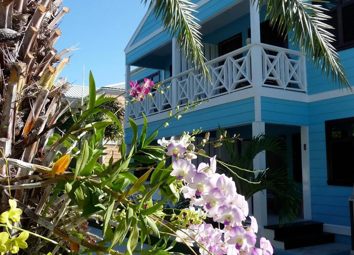 Dickenson Bay Buccaneer Beach Club شقة فندقية