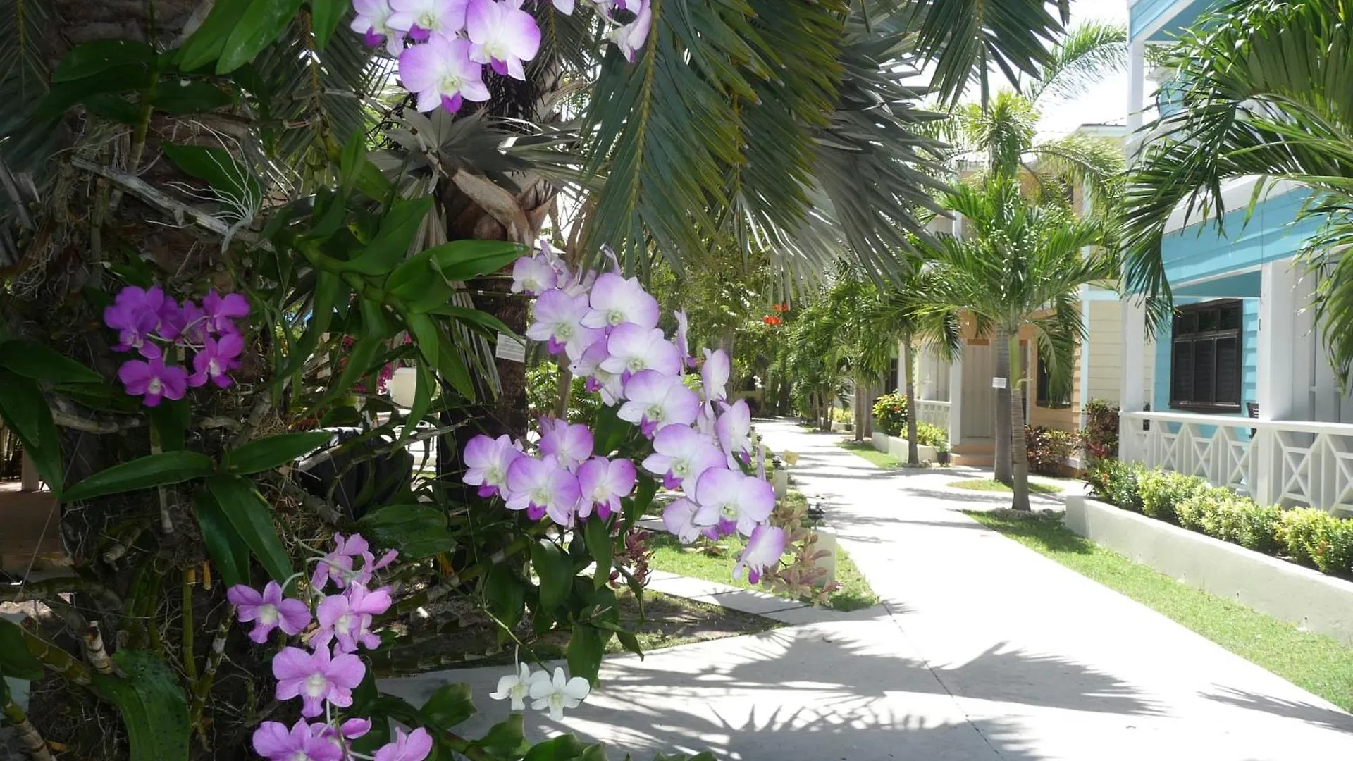 *** شقة فندقية Dickenson Bay Buccaneer Beach Club أنتيغوا وبربودا