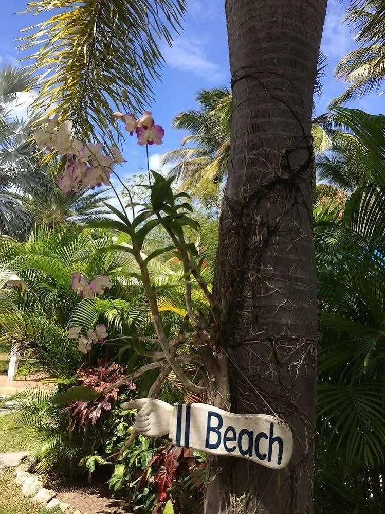 Dickenson Bay Buccaneer Beach Club Dickenson Bay