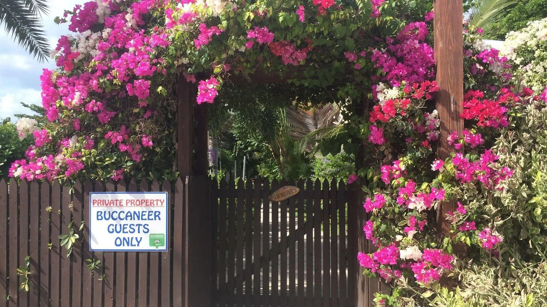 Dickenson Bay Buccaneer Beach Club شقة فندقية